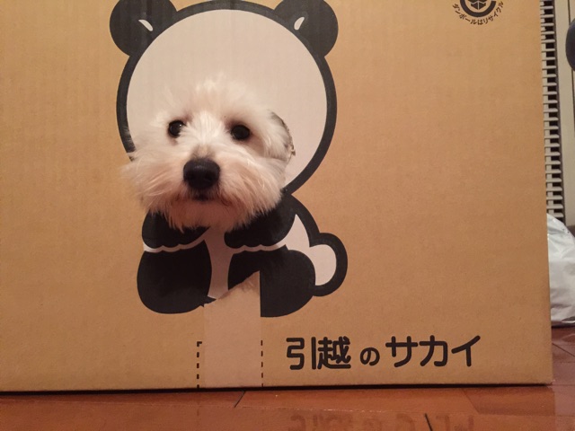f:id:asahicream:20150216165155j:plain f:id:asahicream:20150216165155j:plain