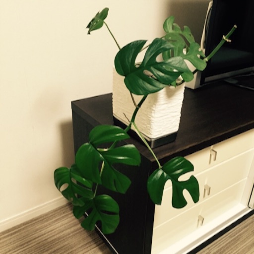 f:id:asako415:20150928223817j:image