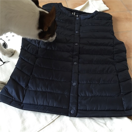 f:id:asako415:20151206174309j:image f:id:asako415:20151206174309j:image