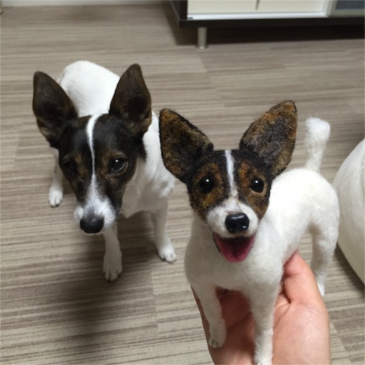 f:id:asako415:20151213132721j:image f:id:asako415:20151213132721j:image