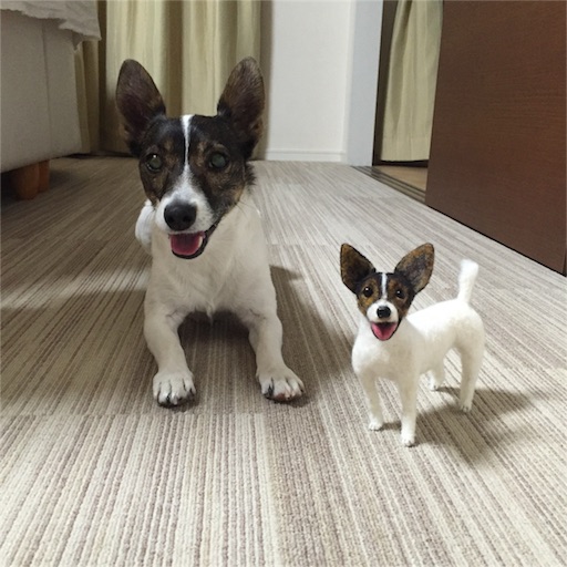 f:id:asako415:20151213134008j:image f:id:asako415:20151213134008j:image