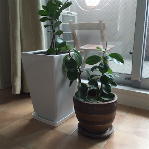 f:id:asako415:20151224191226j:image f:id:asako415:20151224191226j:image