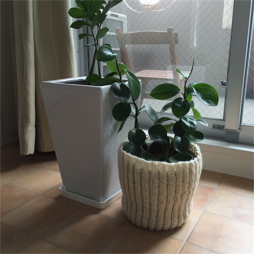 f:id:asako415:20151224191237j:image f:id:asako415:20151224191237j:image