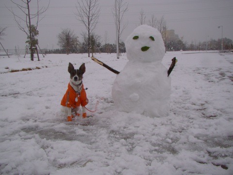 f:id:asako415:20160122194153j:plain