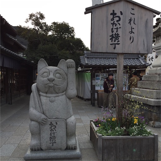 f:id:asako415:20160314221153j:image f:id:asako415:20160314221153j:image