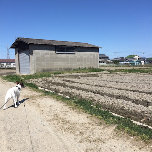 f:id:asako415:20160321222054j:image f:id:asako415:20160321222054j:image