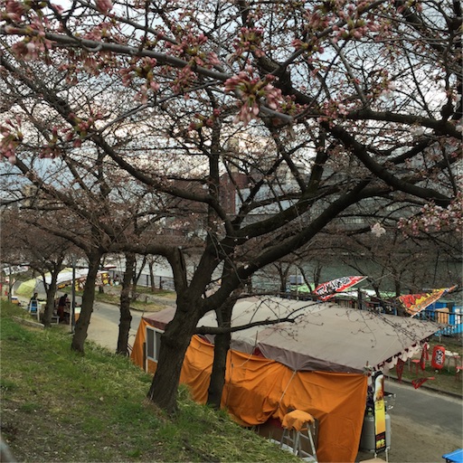 f:id:asako415:20160327203131j:image f:id:asako415:20160327203131j:image