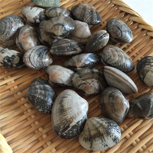 f:id:asako415:20160412192235j:image f:id:asako415:20160412192235j:image