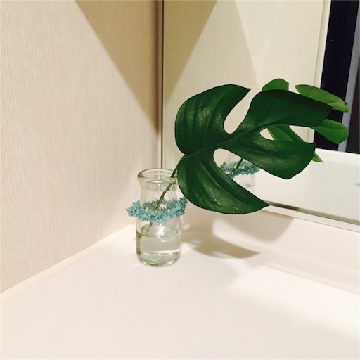 f:id:asako415:20160602225233j:image f:id:asako415:20160602225233j:image