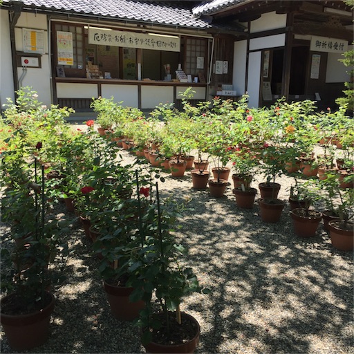 f:id:asako415:20160603220142j:image f:id:asako415:20160603220142j:image