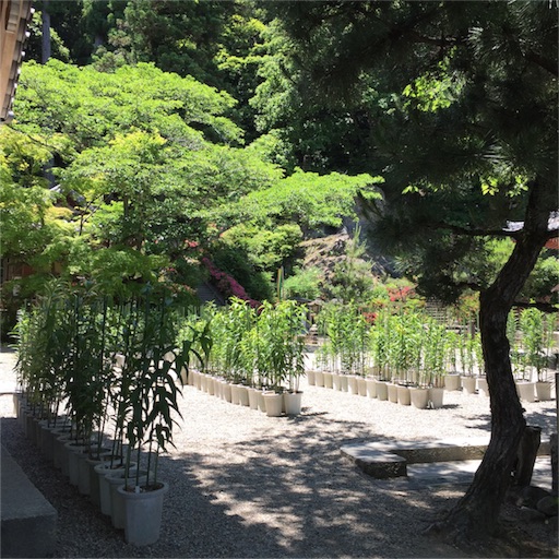 f:id:asako415:20160603220200j:image f:id:asako415:20160603220200j:image