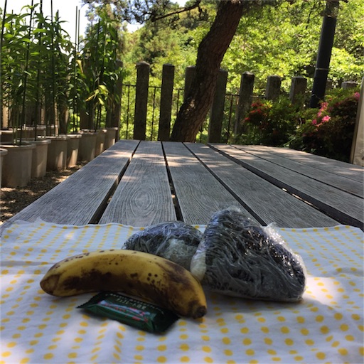 f:id:asako415:20160603220209j:image f:id:asako415:20160603220209j:image