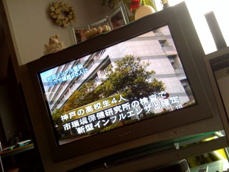 f:id:asami81:20090517130617j:image