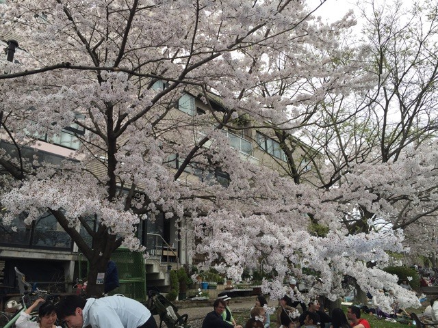f:id:asami81:20150405231743j:plain f:id:asami81:20150405231743j:plain