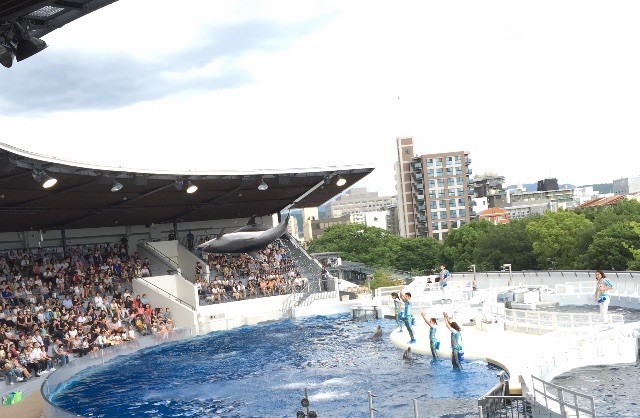 f:id:asami81:20150629210927j:image f:id:asami81:20150629210927j:image