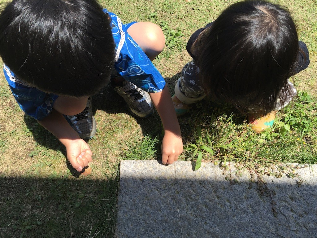 f:id:asami81:20160509005041j:image f:id:asami81:20160509005041j:image