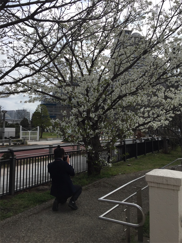 f:id:asarichann:20160321195915j:image f:id:asarichann:20160321195915j:image