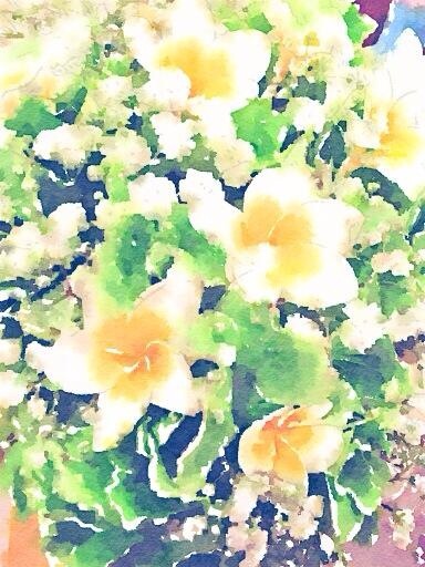 f:id:ash_moca:20140114215138j:plain f:id:ash_moca:20140114215138j:plain