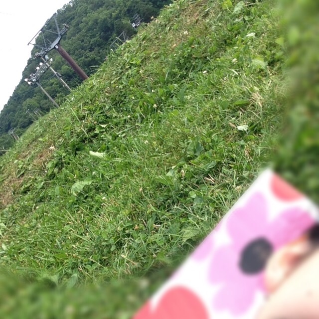 f:id:ashuranran:20150714155539j:image f:id:ashuranran:20150714155539j:image