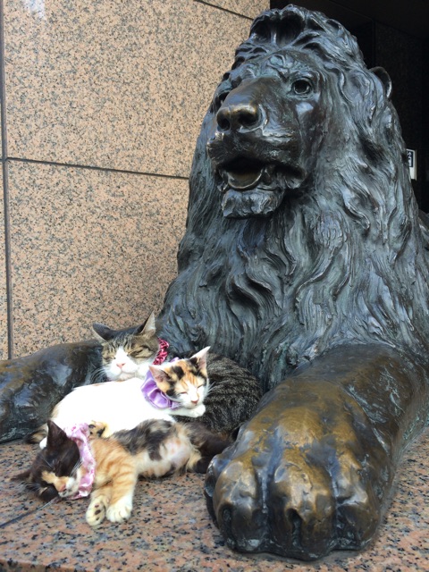 f:id:asia-mirai:20140930222336j:plain f:id:asia-mirai:20140930222336j:plain