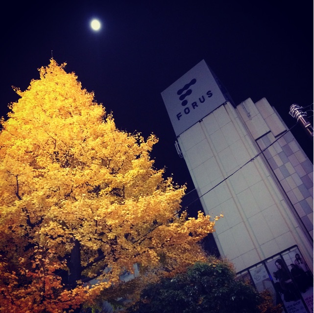 f:id:asia-mirai:20141207110342j:plain f:id:asia-mirai:20141207110342j:plain