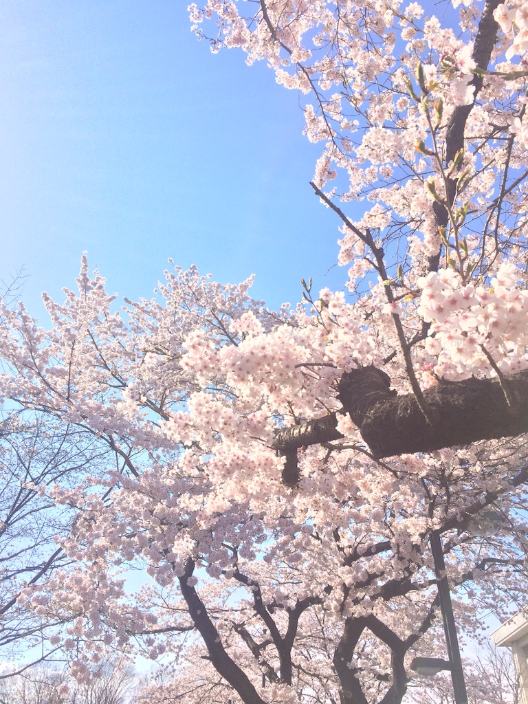 f:id:asia-mirai:20160421015738j:image f:id:asia-mirai:20160421015738j:image