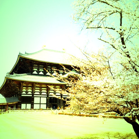 f:id:asianmoso:20150419090542j:image:w240 f:id:asianmoso:20150419090542j:image:w240