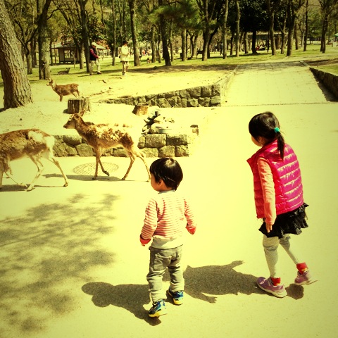 f:id:asianmoso:20150419090545j:image:w240 f:id:asianmoso:20150419090545j:image:w240