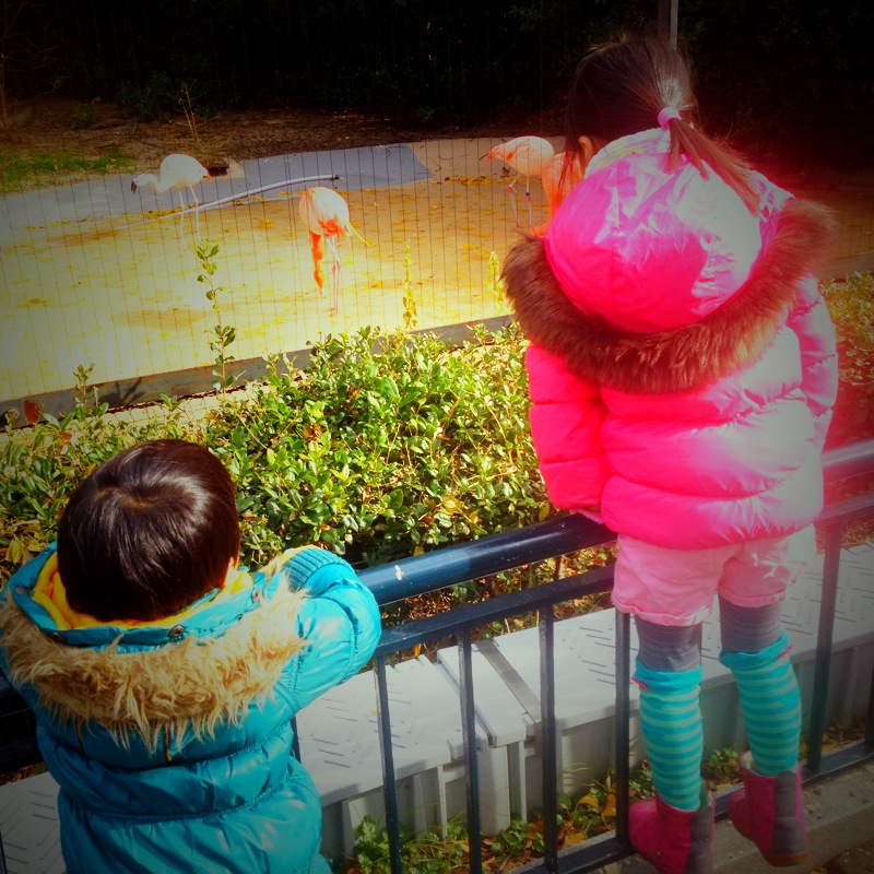 f:id:asianmoso:20150421204346j:image:w240 f:id:asianmoso:20150421204346j:image:w240