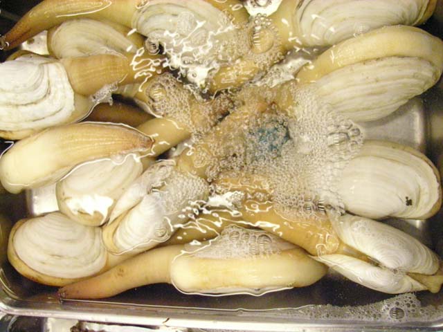 f:id:askicks1248:20160406003015j:plain f:id:askicks1248:20160406003015j:plain