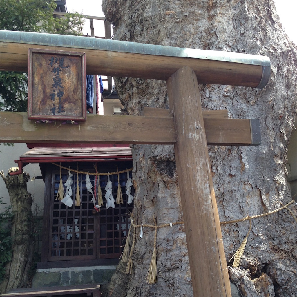 f:id:asquita:20160330091744j:image