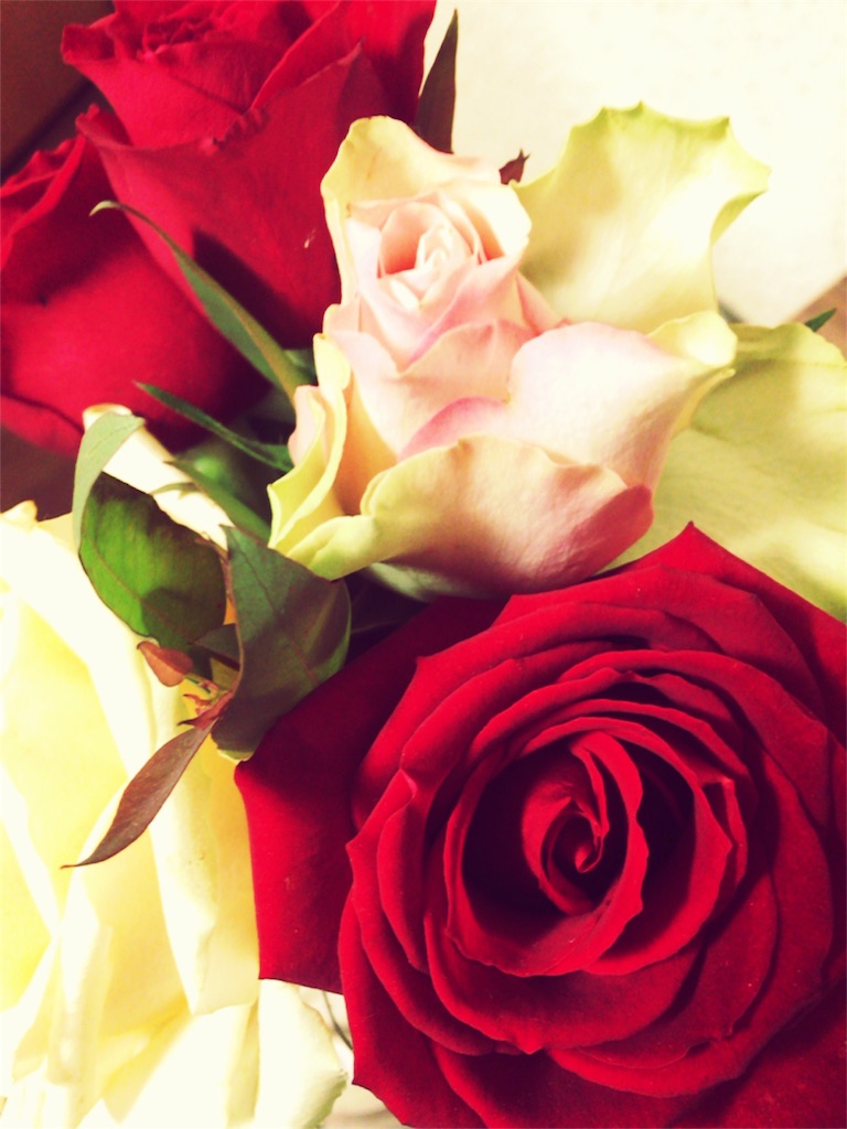 f:id:at1965:20160403091229j:image f:id:at1965:20160403091229j:image