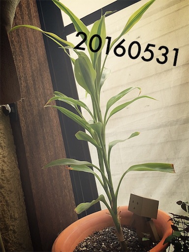 f:id:at1965:20160531173106j:image f:id:at1965:20160531173106j:image