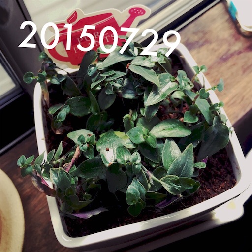 f:id:at1965:20160531174743j:image f:id:at1965:20160531174743j:image