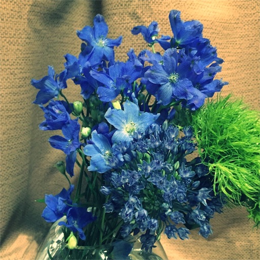 f:id:at1965:20160604215231j:image f:id:at1965:20160604215231j:image