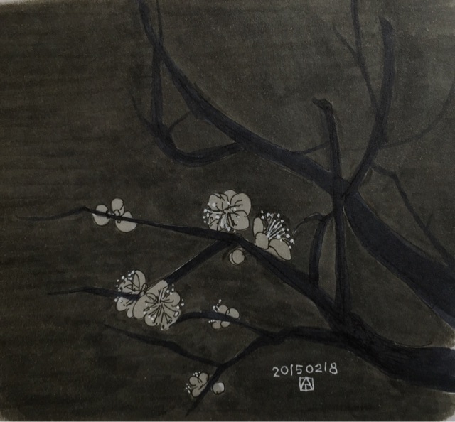 White plum White plum
