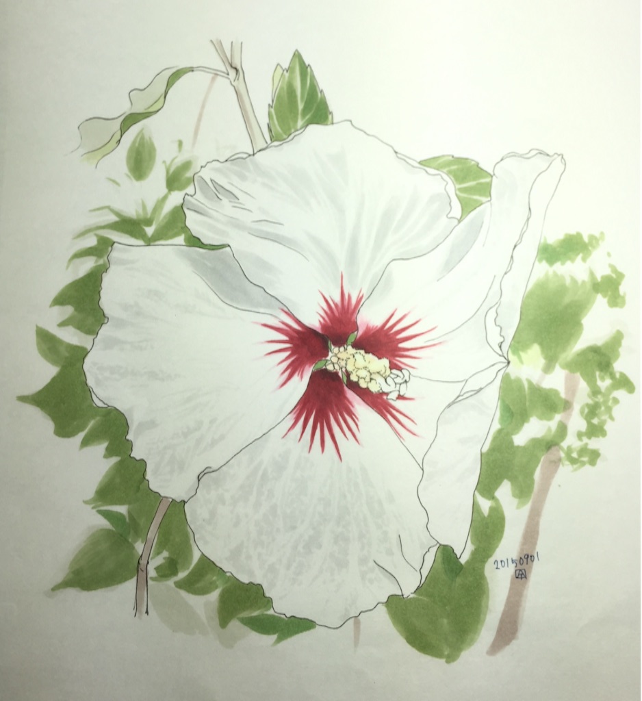 花びらは風になびいています 花びらは風になびいています
