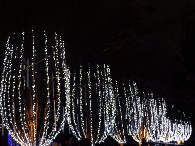 f:id:atashi9:20151222175410j:plain