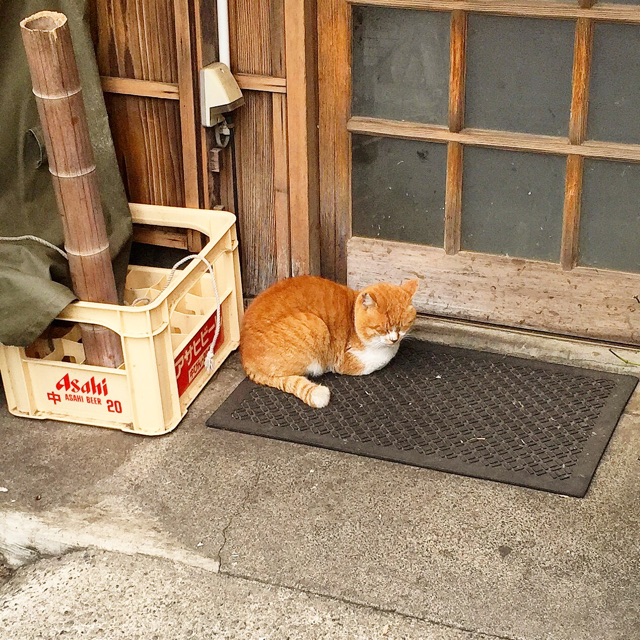 f:id:atbridge:20150215162749j:plain f:id:atbridge:20150215162749j:plain