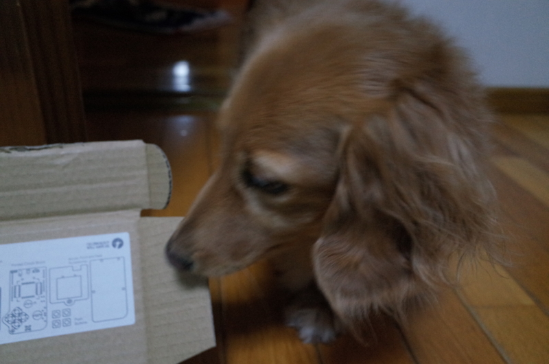 f:id:atdxfe:20131210200117j:image:w400 f:id:atdxfe:20131210200117j:image:w400