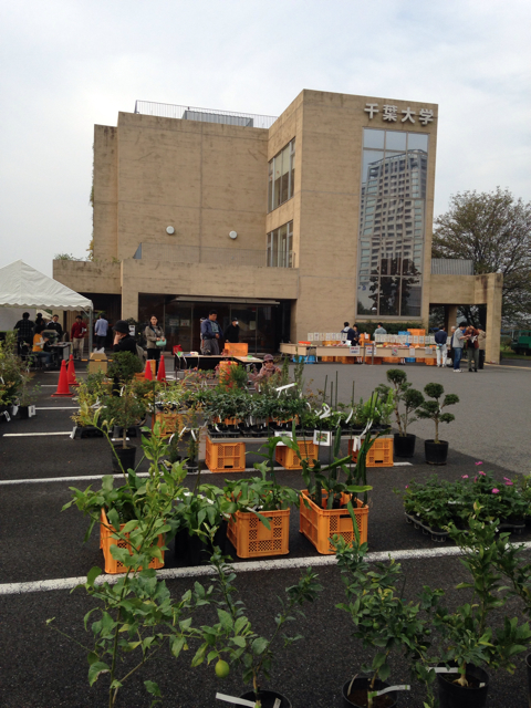 f:id:atelier-mihoppe:20131104161338j:plain f:id:atelier-mihoppe:20131104161338j:plain