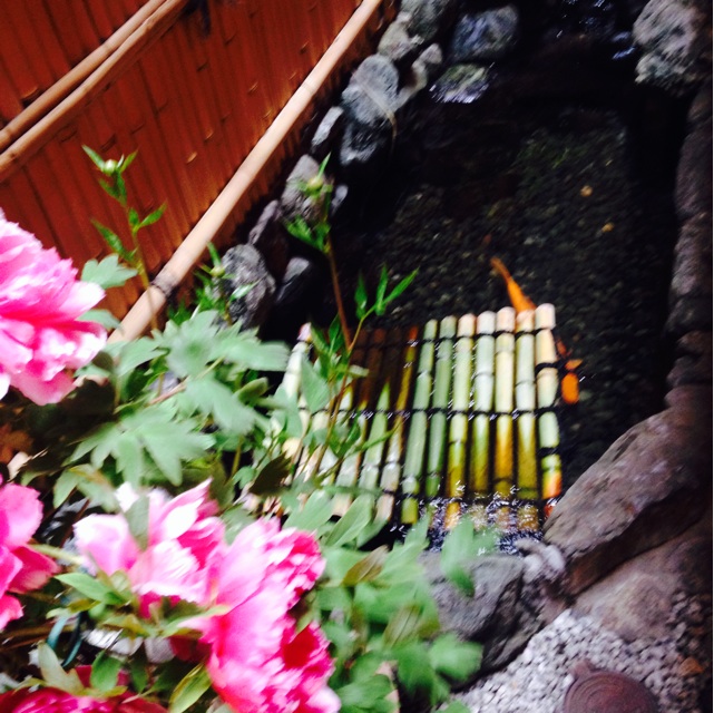 f:id:atelier-mihoppe:20140420081741j:plain f:id:atelier-mihoppe:20140420081741j:plain