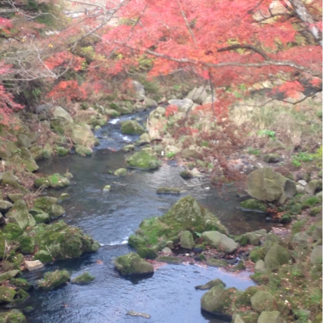 f:id:atelier-mihoppe:20141111215907j:plain f:id:atelier-mihoppe:20141111215907j:plain