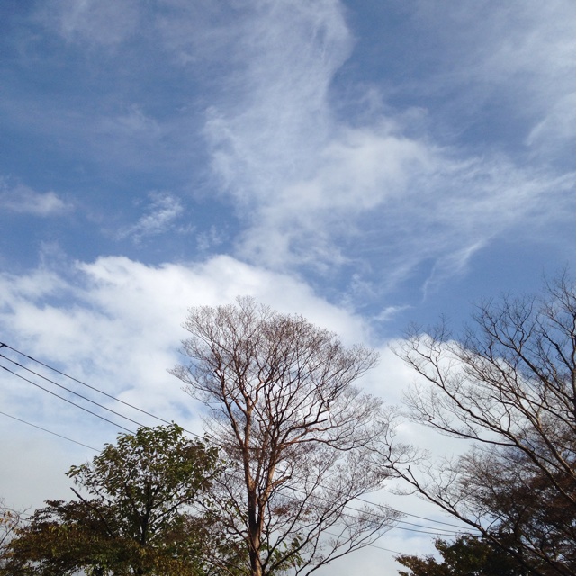 f:id:atelier-mihoppe:20141111220407j:plain f:id:atelier-mihoppe:20141111220407j:plain