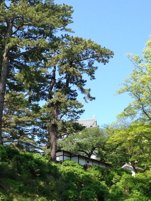f:id:atelier-mihoppe:20150506075612j:plain f:id:atelier-mihoppe:20150506075612j:plain