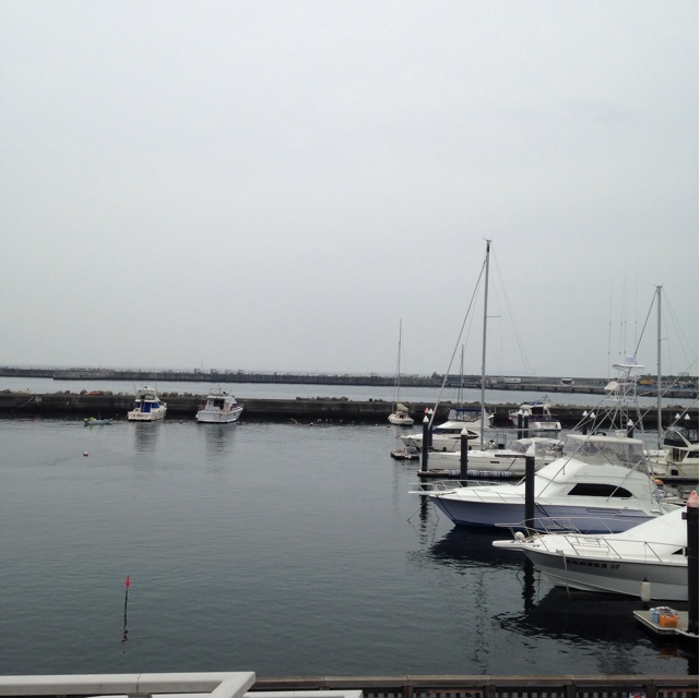 f:id:atelier-mihoppe:20150511083947j:plain f:id:atelier-mihoppe:20150511083947j:plain
