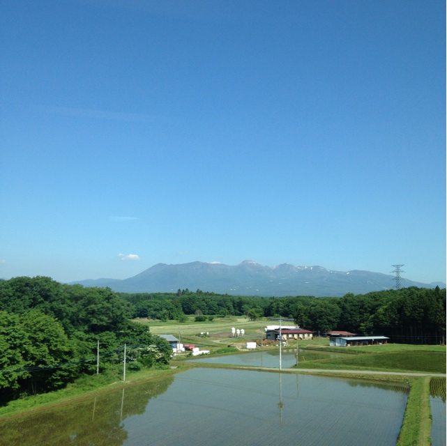f:id:atelier-mihoppe:20150603101925j:plain f:id:atelier-mihoppe:20150603101925j:plain