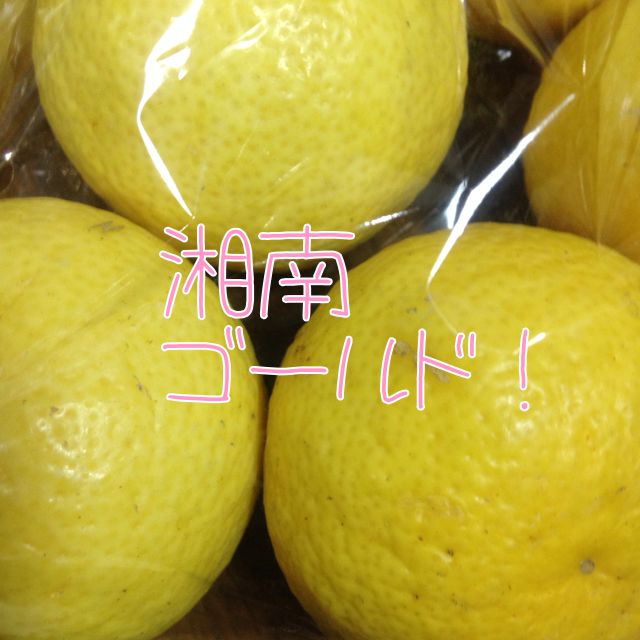 f:id:atelier-mihoppe:20150612174307j:plain f:id:atelier-mihoppe:20150612174307j:plain