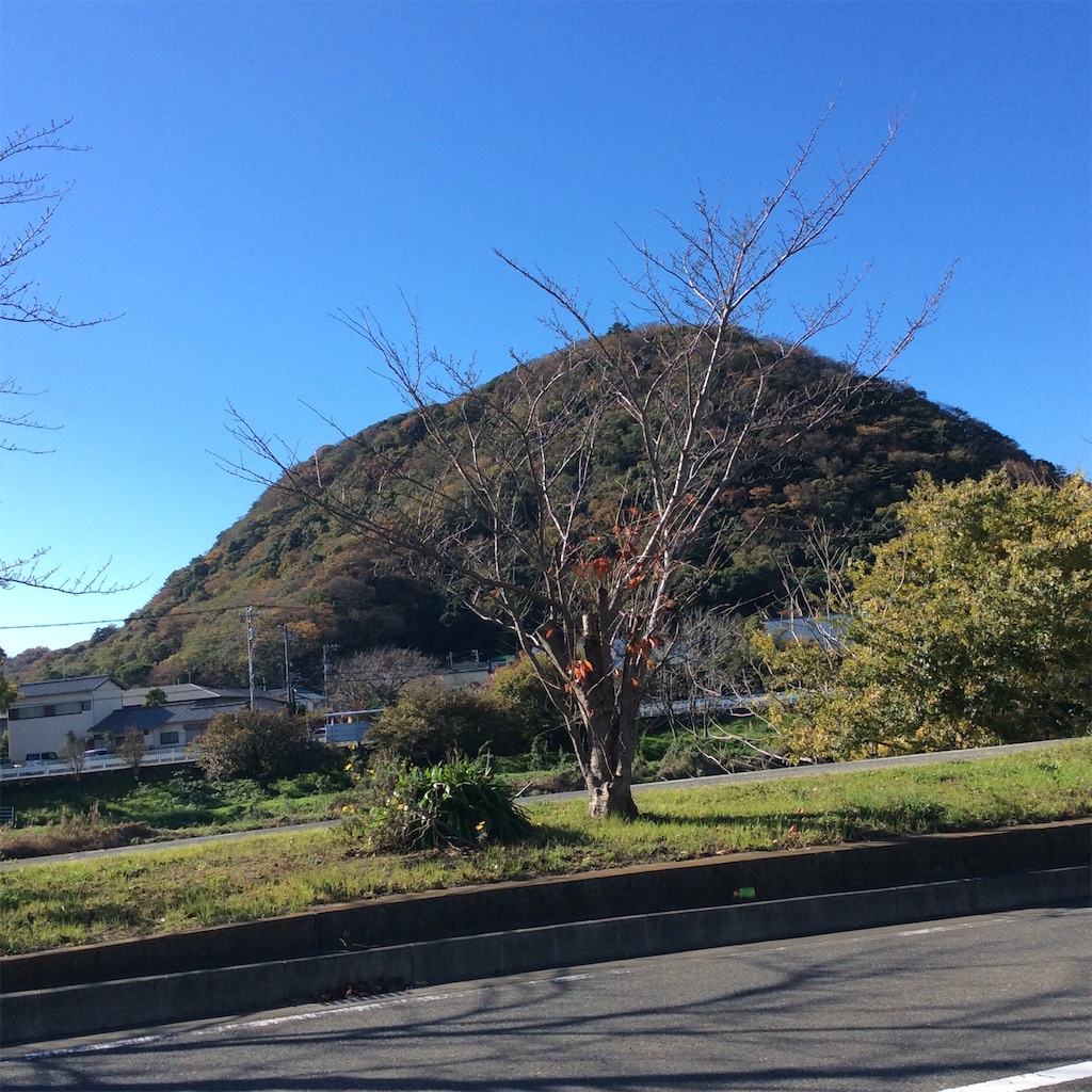 f:id:atelier-mihoppe:20151205220132j:image f:id:atelier-mihoppe:20151205220132j:image