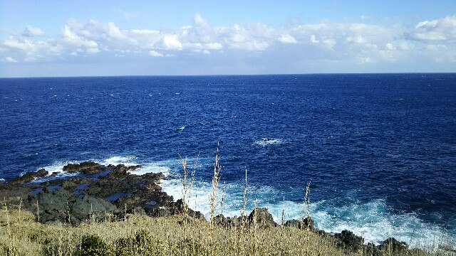 f:id:atisland:20160126195315j:image f:id:atisland:20160126195315j:image